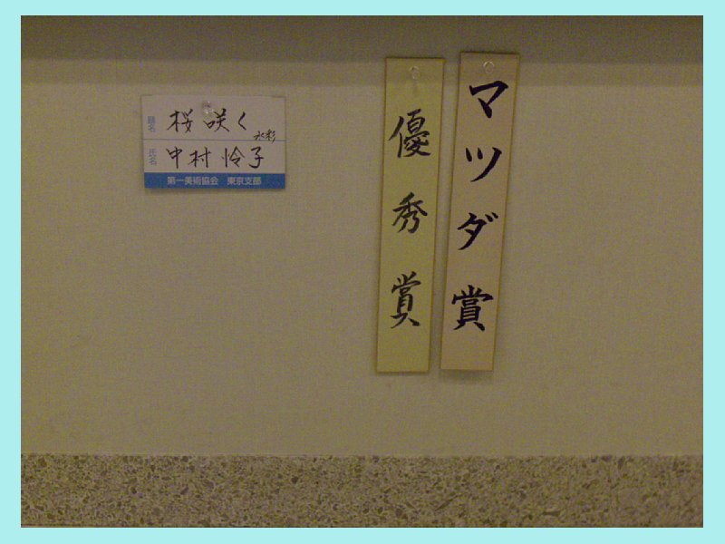 o_naka090128.jpg