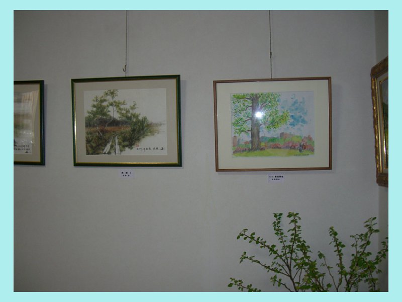 200803_05205.jpg